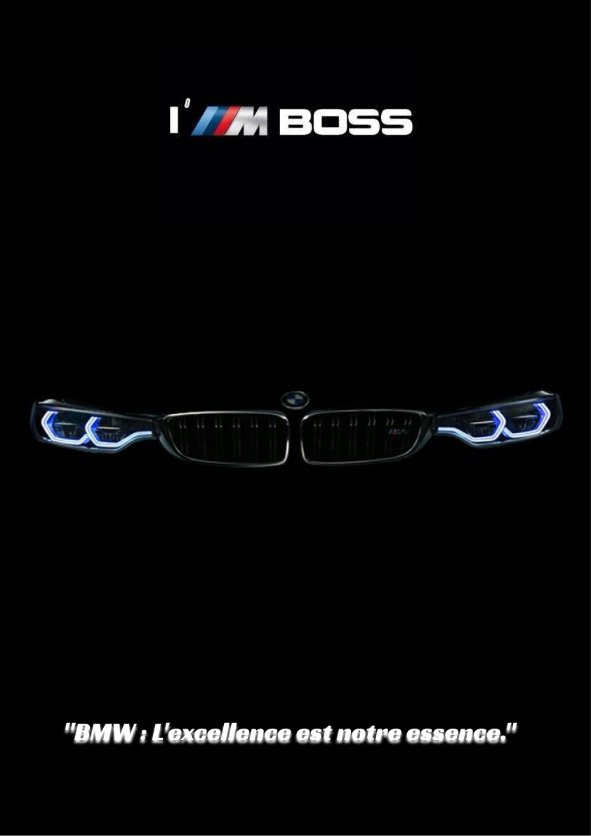 Image du projet BMW 1